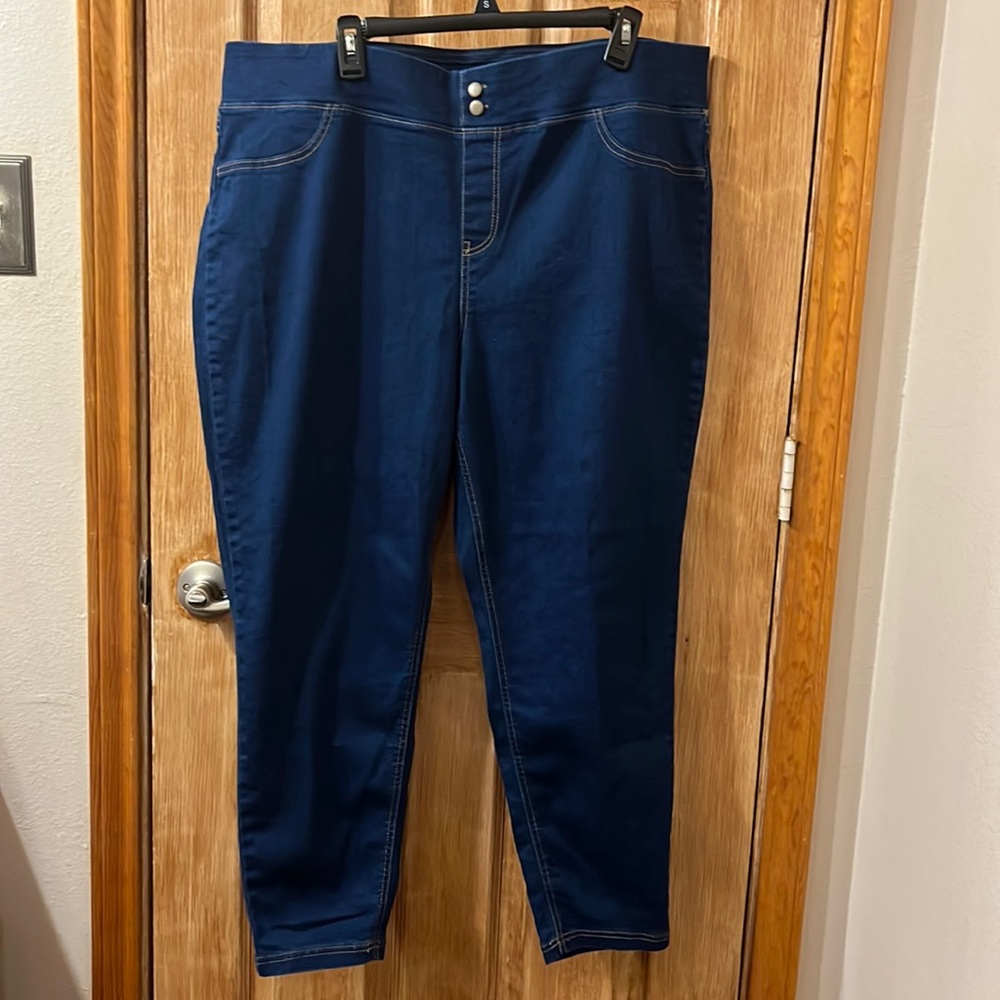 Terra & Sky Darkwash Jegging